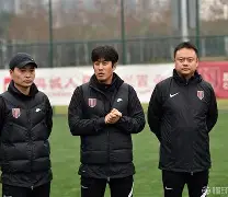 开云入口-powell修正算法是一种